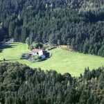 Clairière à la Chaulme